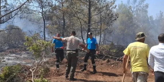 Esentepe-Karaağaç’da Yangın Korkusu: Elektrik Telleri Ağaçlara Temas Etti!